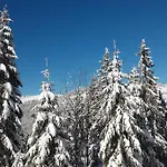 Komfort-ferienwohnung Am Feldberg, 2 Zimmer, Whirlpool, Residenz Grafenmatt, Direkt Am Skilift Und An Wanderwegen 아파트 펠트베르크