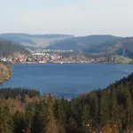 Komfort-ferienwohnung Am Feldberg, 2 Zimmer, Whirlpool, Residenz Grafenmatt, Direkt Am Skilift Und An Wanderwegen 아파트 *