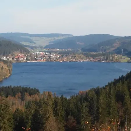 Komfort-ferienwohnung Am Feldberg, 2 Zimmer, Whirlpool, Residenz Grafenmatt, Direkt Am Skilift Und An Wanderwegen Διαμέρισμα *